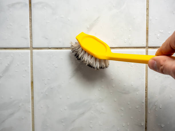 Office Mold Removal Services in Elgin, TX
