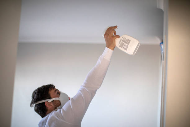 Best Fast Mold Removal  in Elgin, TX