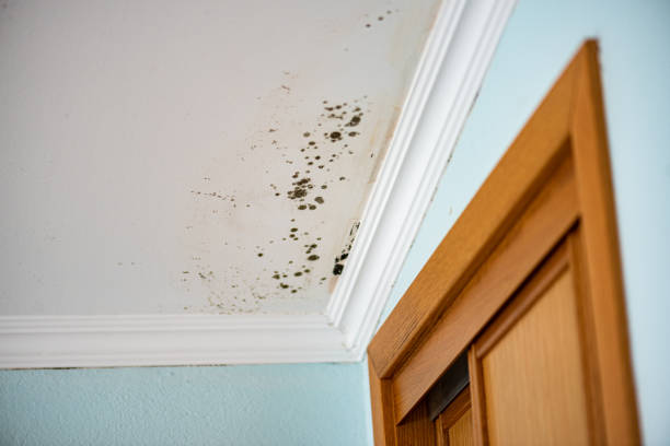 Water Damage Restoration in Elgin, TX