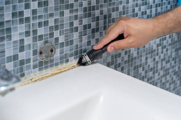 Best Mold Removal Company Near Me  in Elgin, TX