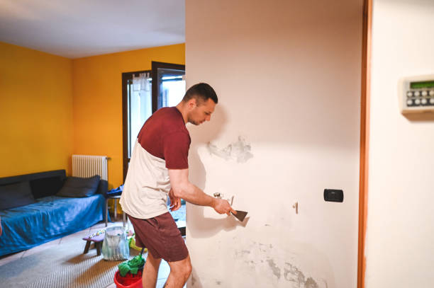 Best Emergency Mold Removal  in Elgin, TX
